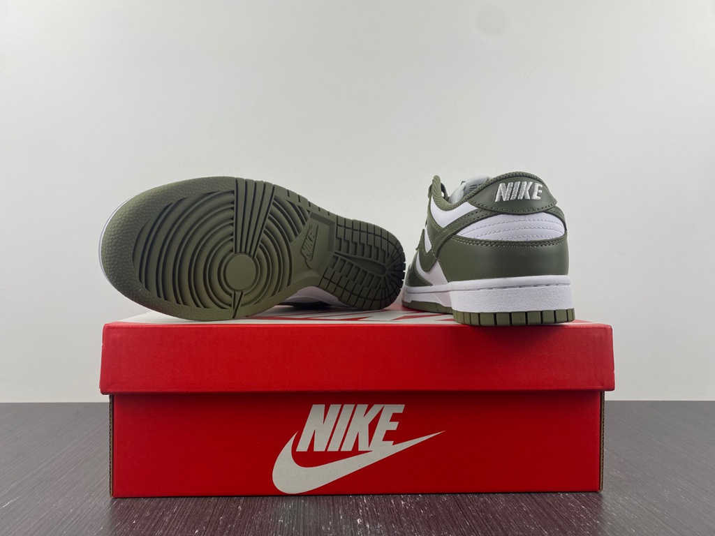 Dunk Low DD1503-120